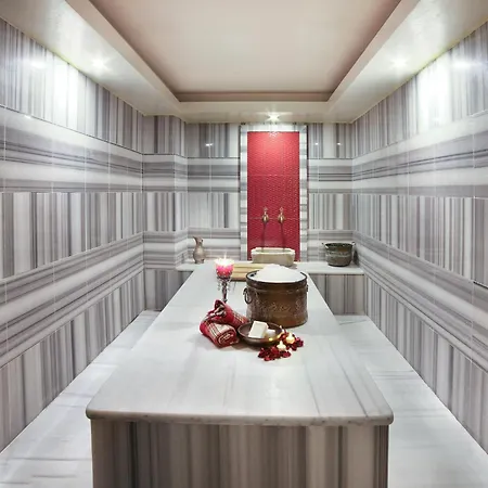 Hotel Great Fortune &