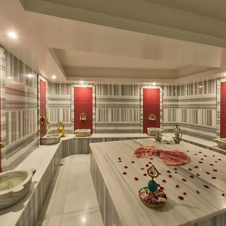 Hotel Great Fortune & Istanbul