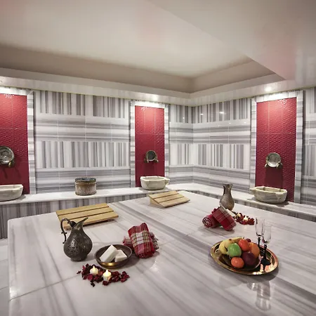 Hotel Great Fortune & Istanbul